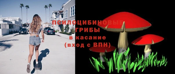 стаф Инта