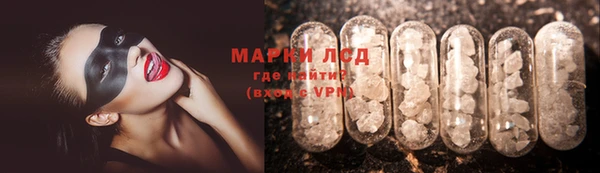стафф Покачи