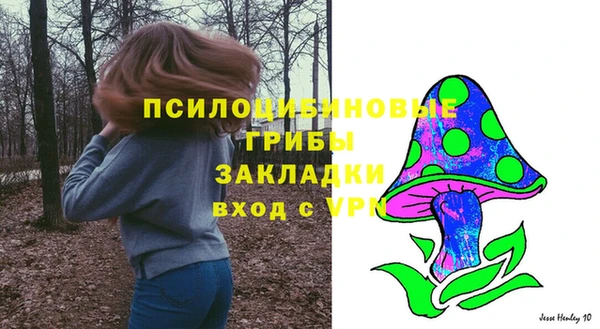 дживик Абаза
