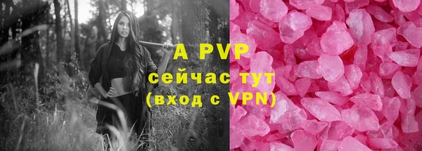 дживик Абаза