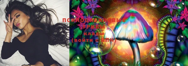 сатива Инсар