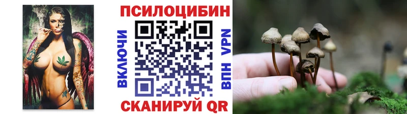 где купить наркоту  ОМГ ОМГ ONION  Псилоцибиновые грибы мухоморы  Болгар 